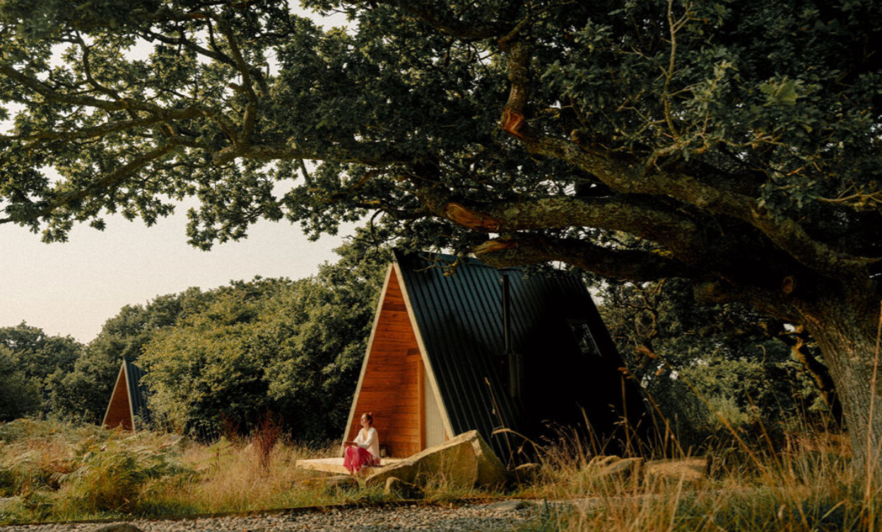 YogaHaus Cornwall RainForest Retreat 2025 (27–30 Oct)